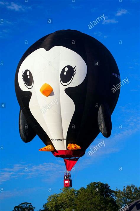 Hot Air Balloon Pinterest LaDeesseDeLaOccident Hot Air Balloons Art Hot Air Balloon Balloons