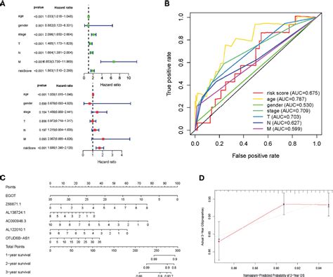 Frontiers Identification And Validation Of M6a Related Lncrna