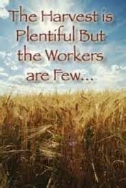 Daily Bible Reflections: “The harvest is plentiful, but laborers are ...