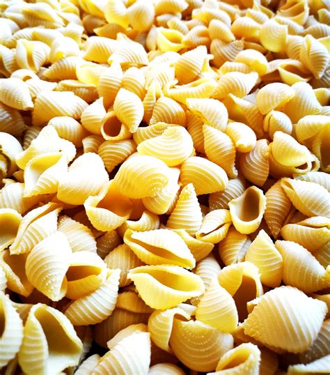 Conchiglie Di Pasta Fresca Di Nostra Produzione Bao Bab