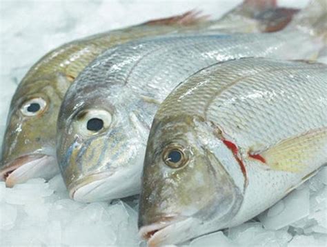 emperor fish national fisheries