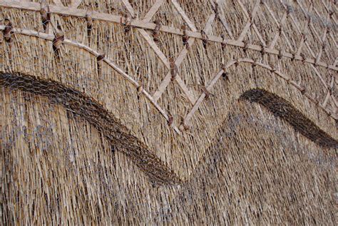 Types Of Thatch Roof Identification The Thatchers