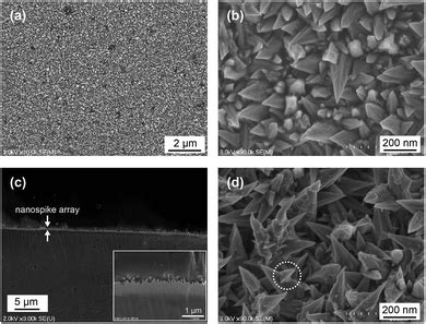 Hydrogen Evolution Reaction HER Over Electroless Deposited Nickel