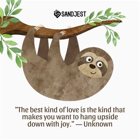 100 Sloth Quotes That Will Make You Smile And Relax Personalized T Sandjest