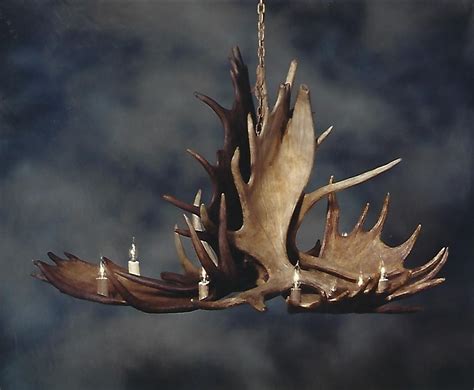 Moose Chandelier The Antler Shed