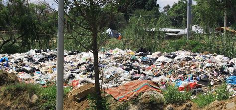 Basurero Clandestino En Riberas Del Atoyac Riesgo Sanitario En Oaxaca