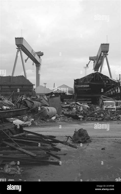 Goliath Cranes Black And White Stock Photos Images Alamy