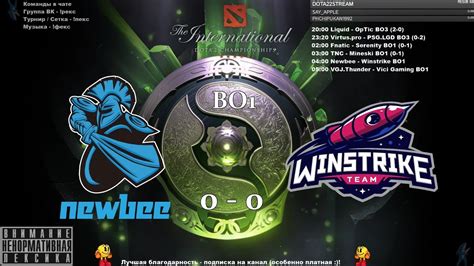 Ru Newbe Vs Winstrike Bo The International Playoff