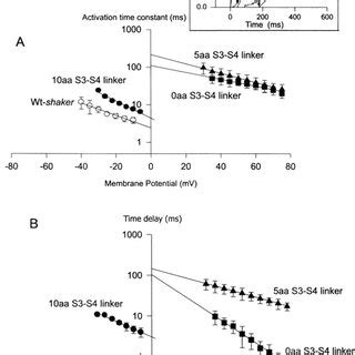 Kinetics Of Early Transitions Of The Activation Pathway Using The