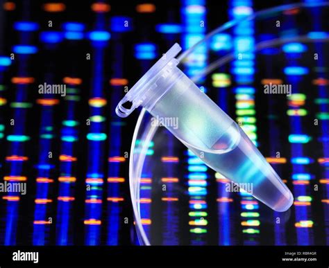 Genetic Research A Eppendorf Tube Containing A Dna Deoxyribonucleic Acid Sample With The Dna