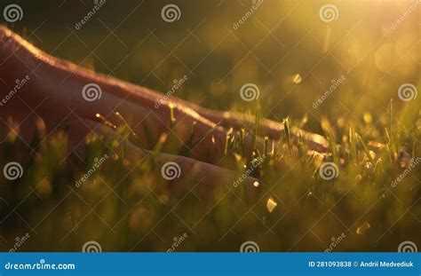 Close Up Of Man Fingers Touching Fresh Wet Green Grass After Spring