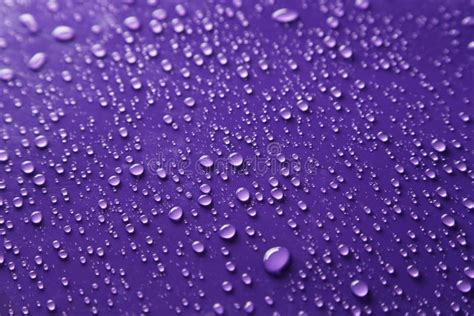 Water Drops On Purple Background Close Up Stock Image Image Of Close