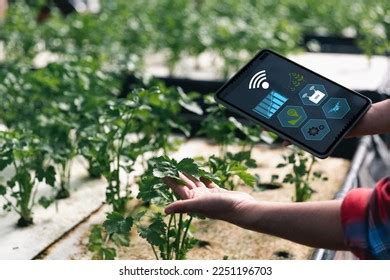 Smart Farming Farm Technology Concept Smart Stock Photo 2251196703 | Shutterstock