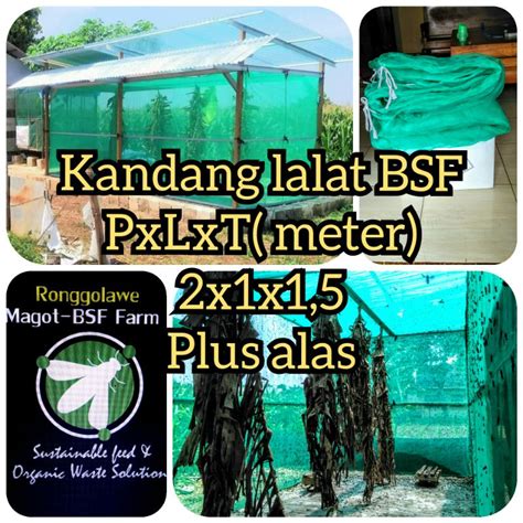 Jual Kandang Lalat BSF Murah Dan Awet Shopee Indonesia