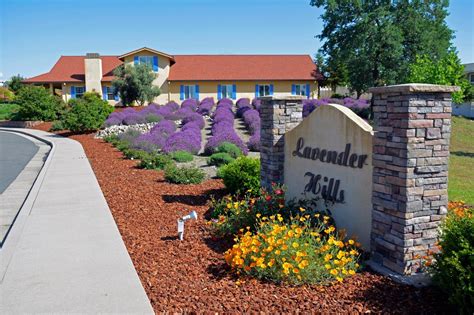 Lavender Hills Assisted Living Updated February Collyer