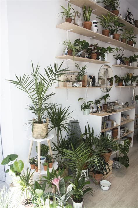 Plantarium – JJ WORKSHOP