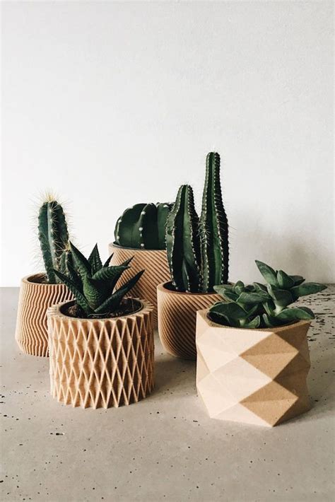 Succulent Decorating Ideas For Your Home Plant Decor Plants