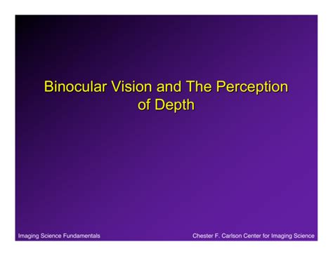 Binocular Vision And The Perception Of Depth