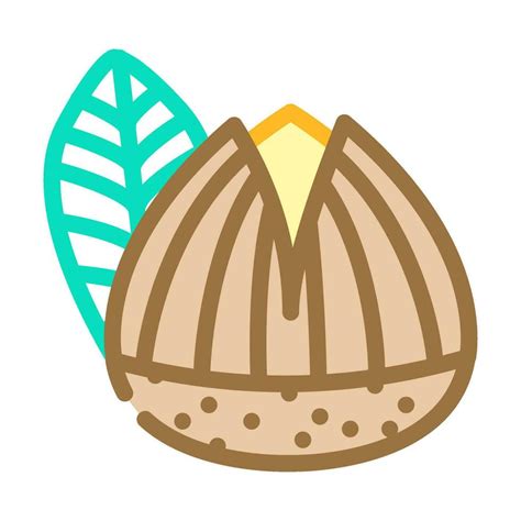 roasted chestnut autumn season color icon vector illustration 25441373 ...