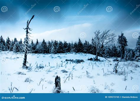 Krkonose, Czech republic stock image. Image of park - 109573745