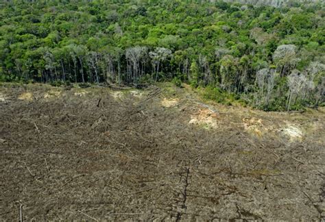 Amazônia perdeu área de vegetação nativa do tamanho do Chile em 36 anos