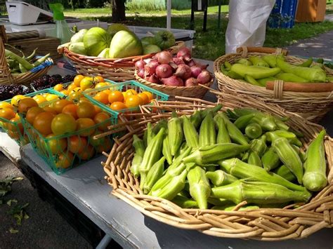 Queens Farm Adds 30 New Crops To Seasonal Lineup Bayside Ny Patch