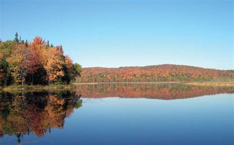 Free picture: fall, foliage, meadow