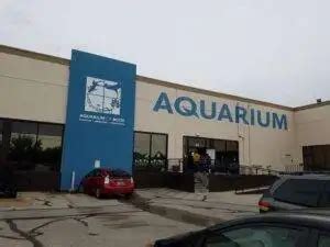 Top things to do at Boise Aquarium