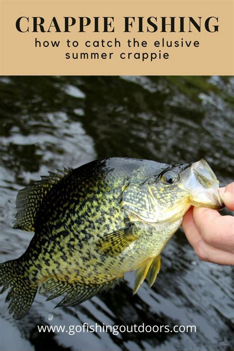 Catch Crappie From The Bank All Summer Long Crappie Fishing Tips