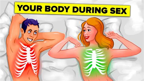 What Happens To Your Body While You Are Having Sex And Other