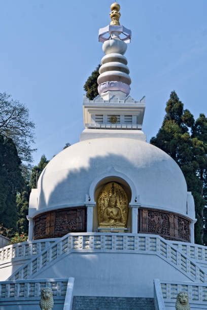 40+ Peace Pagoda Darjeeling Stock Photos, Pictures & Royalty-Free ...