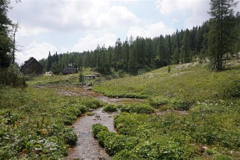 Small Creek In Front Of Mountain Hut On The Seven Lakes Valley Hike