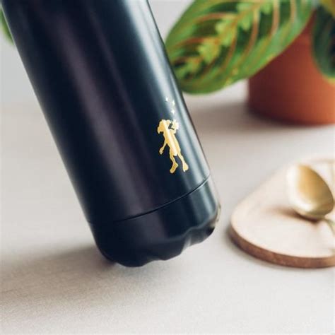 HARRY POTTER Dobby Hot Cold Insulated Bottle 420ml ShopForGeek