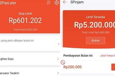 Segini Denda Telat Bayar SPaylater Dan SPinjam Bisakah Bayar Sebagian