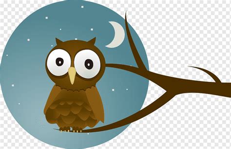 Cartoon Owl Png Pngwing