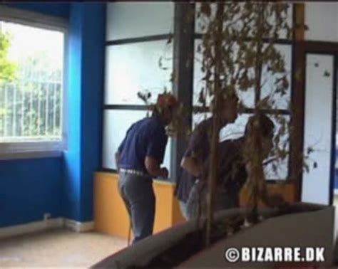 What S The Name Of The Brunette And Blonde With Glasses Reply Namethatporn