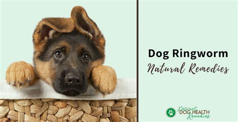 Natural Dog Ringworm Remedies | Home Treatment for Ringworm on Dogs