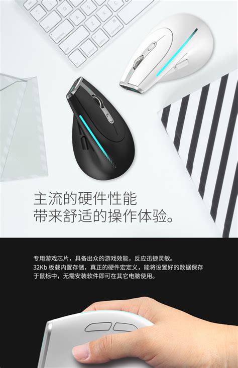 Zelotes F36 ที่จับด้านข้างแนวตั้งบลูทูธไร้สายสามโหมดชาร์จเมาส์ยกเมาส์ ...