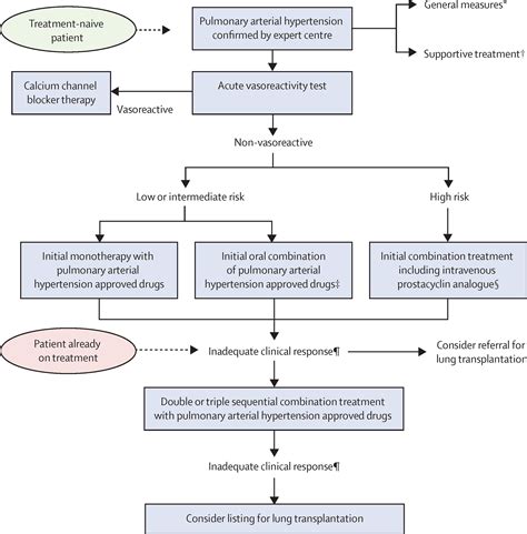 Treatment Of Pulmonary Hypertension The Lancet Respiratory Medicine