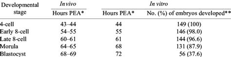Developmental Schedule Of Hamster Embryos Grown In Vivo And Cultured In
