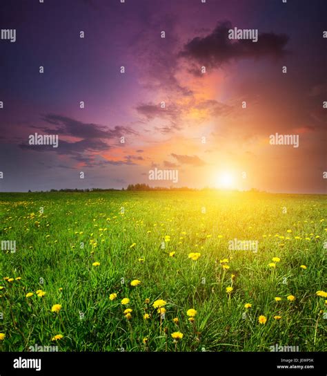 green field and beautiful sunset Stock Photo - Alamy