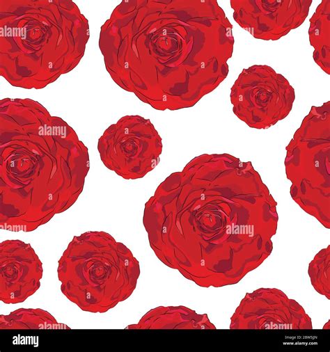 Seamless Floral Pattern Vector Illustration Floral Background Stock Vector Image And Art Alamy