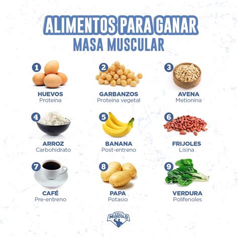 Alimentos Para Ganar Masa Muscular Que Debes De Consumir Todos Los