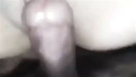 Maori Porn Videos XHamster