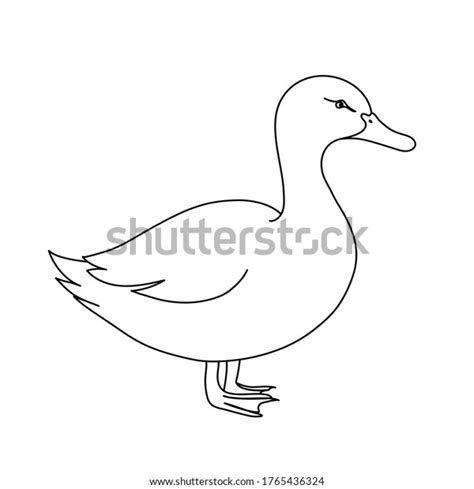 Duck Line Drawing Minimalistic Style Logo Stock Vector Royalty Free