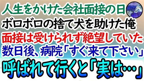 【感動する話】人生をかけた会社面接の日、ボロボロの捨て犬を助けた俺。面接は受けられず絶望していた数日後、犬を預けた女医から突然電話があり