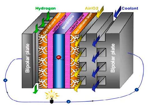 Schematic of PEM fuel cell [4]. | Download Scientific Diagram