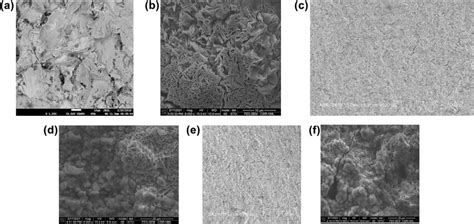 Hr Sem Of A Uncoated Mild Steel Before Immersion Cycle Test B