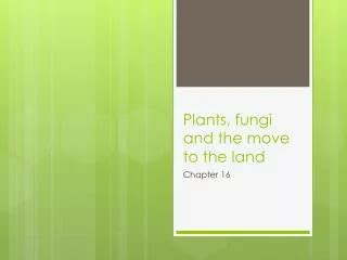 Ppt Chapter Plants Fungi And The Move Onto Land Powerpoint