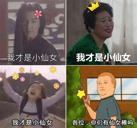 忽然火遍全网的「小仙女」这个梗是怎么来的？ 知乎